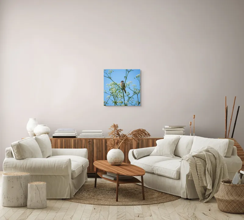 Tablou Canvas, "Pasăre printre flori albe și cer senin", Pasăre, Subțire, Ramuri, Înflorite, Cer, Albastru, Delicat, Primăvară, Natură, Liniște, 50 x 50 cm – poza 7