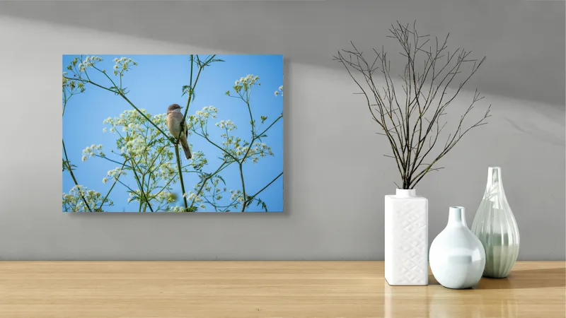 Tablou Canvas, "Pasăre printre flori albe și cer senin", Pasăre, Subțire, Ramuri, Înflorite, Cer, Albastru, Delicat, Primăvară, Natură, Liniște, 54 x 39 cm – poza 3