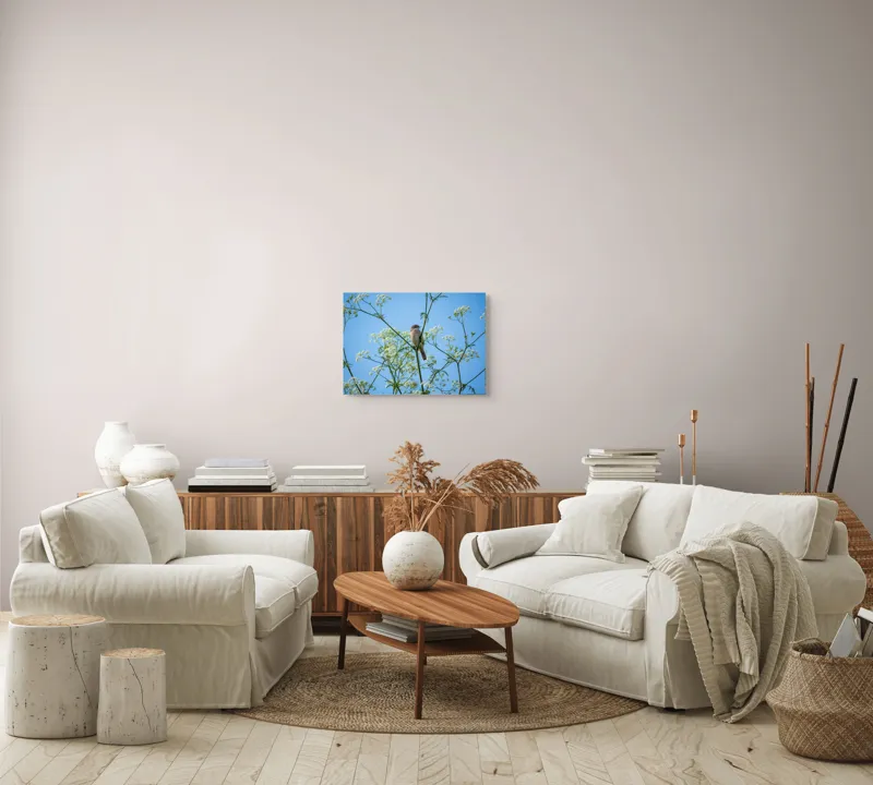 Tablou Canvas, "Pasăre printre flori albe și cer senin", Pasăre, Subțire, Ramuri, Înflorite, Cer, Albastru, Delicat, Primăvară, Natură, Liniște, 54 x 39 cm – poza 5