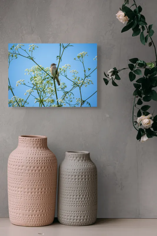 Tablou Canvas, "Pasăre printre flori albe și cer senin", Pasăre, Subțire, Ramuri, Înflorite, Cer, Albastru, Delicat, Primăvară, Natură, Liniște, 54 x 39 cm – poza 8