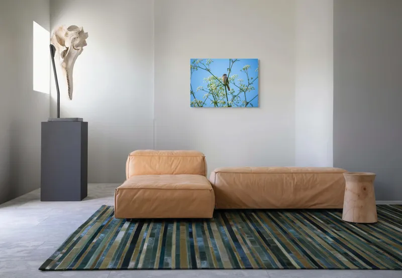 Tablou Canvas, "Pasăre printre flori albe și cer senin", Pasăre, Subțire, Ramuri, Înflorite, Cer, Albastru, Delicat, Primăvară, Natură, Liniște, 70 x 50 cm – poza 8