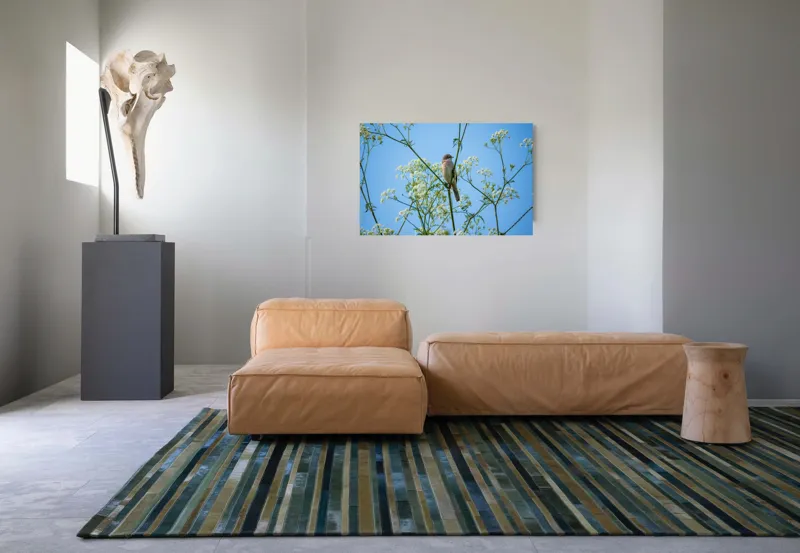 Tablou Canvas, "Pasăre printre flori albe și cer senin", Pasăre, Subțire, Ramuri, Înflorite, Cer, Albastru, Delicat, Primăvară, Natură, Liniște, 90 x 50 cm – poza 8