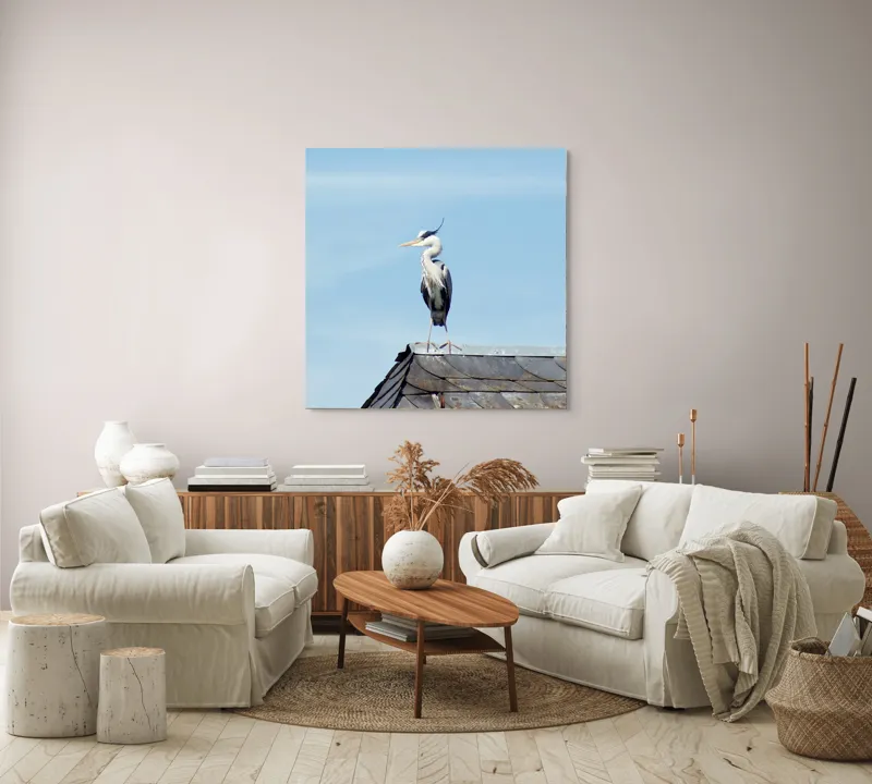 Tablou Canvas, "Egreta pe acoperiș sub cer senin", Pasăre, Acoperiș, Cer, Penaj, Cioc, Eleganță, Contemplare, Vedere, Natură, Libertate, 100 x 100 cm – poza 3
