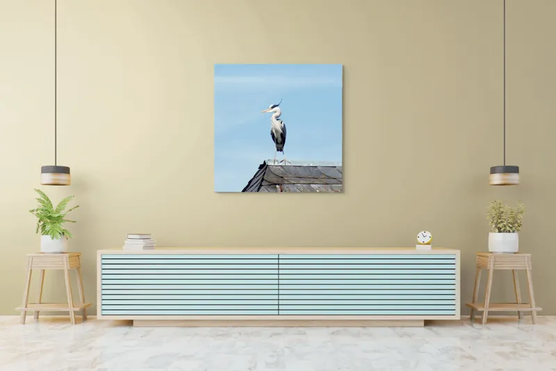Tablou Canvas, "Egreta pe acoperiș sub cer senin", Pasăre, Acoperiș, Cer, Penaj, Cioc, Eleganță, Contemplare, Vedere, Natură, Libertate, 100 x 100 cm – poza 5