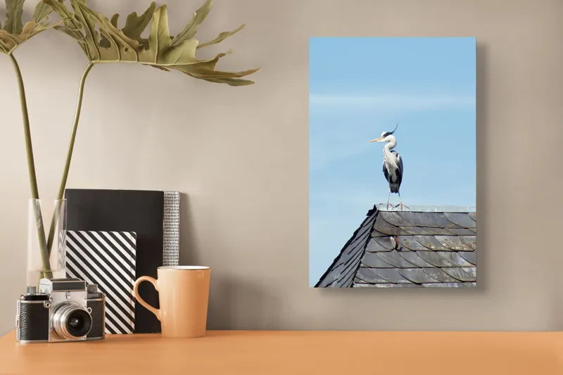 Tablou Canvas, "Egreta pe acoperiș sub cer senin", Pasăre, Acoperiș, Cer, Penaj, Cioc, Eleganță, Contemplare, Vedere, Natură, Libertate, 26 x 39 cm – poza 3