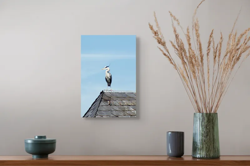 Tablou Canvas, "Egreta pe acoperiș sub cer senin", Pasăre, Acoperiș, Cer, Penaj, Cioc, Eleganță, Contemplare, Vedere, Natură, Libertate, 26 x 39 cm – poza 5