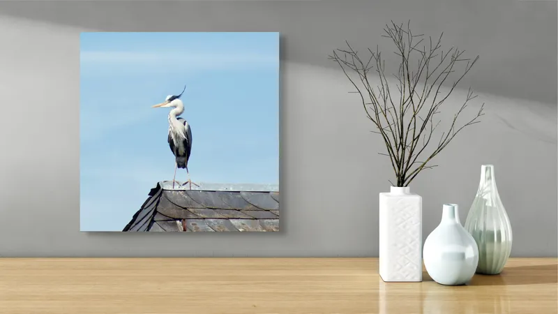 Tablou Canvas, "Egreta pe acoperiș sub cer senin", Pasăre, Acoperiș, Cer, Penaj, Cioc, Eleganță, Contemplare, Vedere, Natură, Libertate, 50 x 50 cm – poza 3