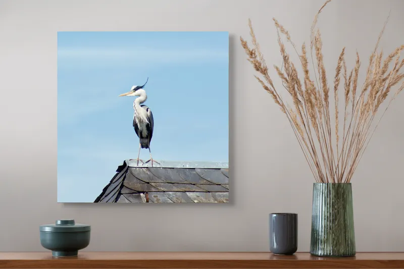Tablou Canvas, "Egreta pe acoperiș sub cer senin", Pasăre, Acoperiș, Cer, Penaj, Cioc, Eleganță, Contemplare, Vedere, Natură, Libertate, 50 x 50 cm – poza 4