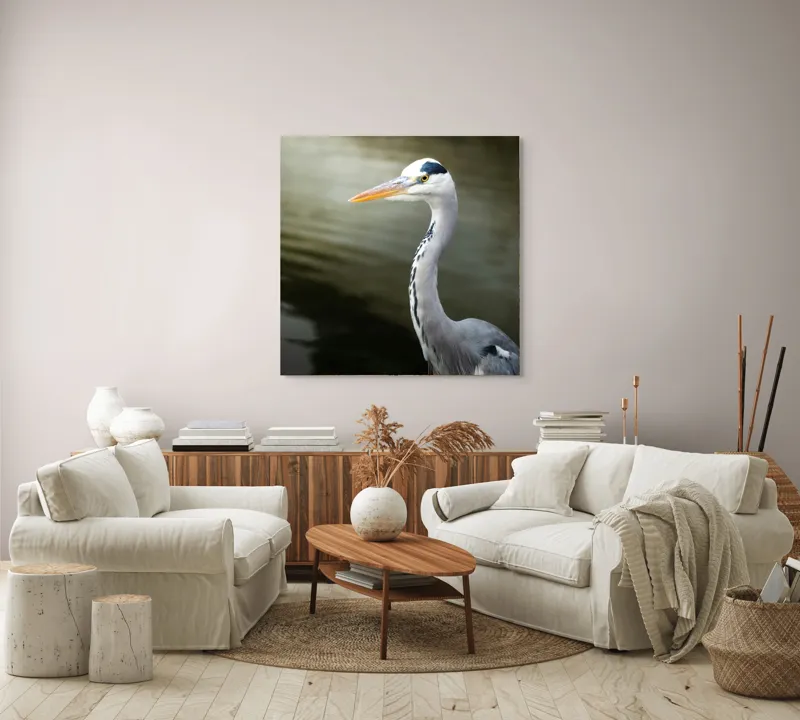 Tablou Canvas, "Egreta privind spre zare liniștită", Pasăre, Grațioasă, Plisc, Lung, Pene, Gri, Apă, Calmă, Elegantă., 100 x 100 cm – poza 3