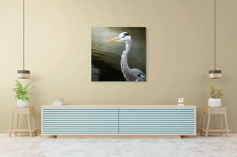 Tablou Canvas, "Egreta privind spre zare liniștită", Pasăre, Grațioasă, Plisc, Lung, Pene, Gri, Apă, Calmă, Elegantă., 100 x 100 cm – poza 5