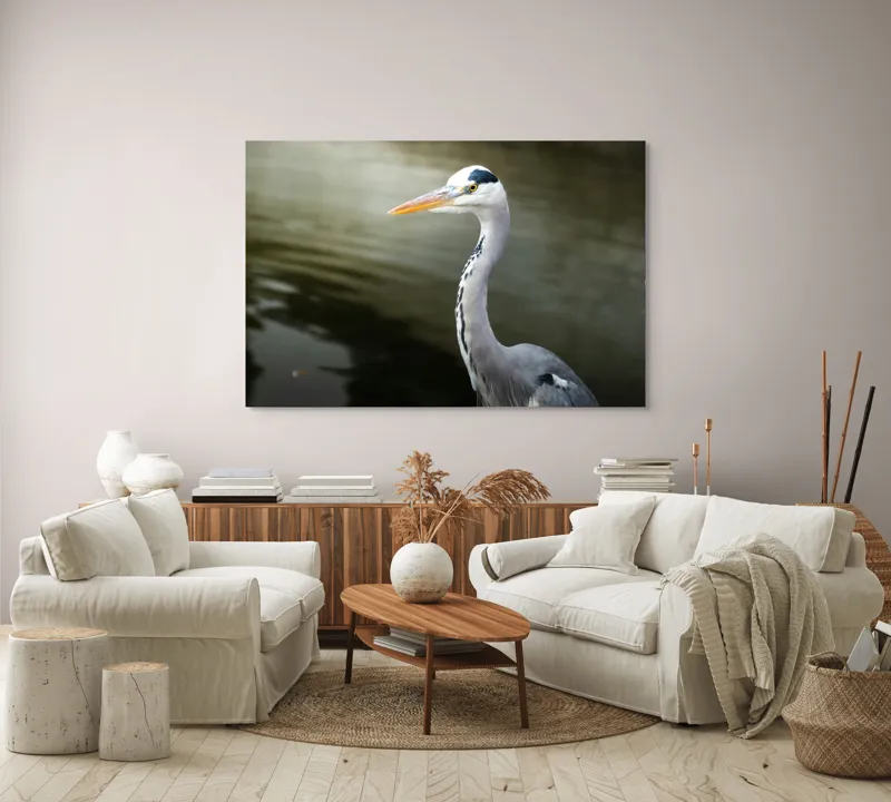 Tablou Canvas, "Egreta privind spre zare liniștită", Pasăre, Grațioasă, Plisc, Lung, Pene, Gri, Apă, Calmă, Elegantă., 150 x 100 cm – poza 3