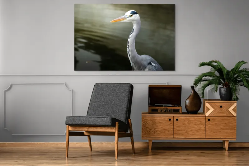 Tablou Canvas, "Egreta privind spre zare liniștită", Pasăre, Grațioasă, Plisc, Lung, Pene, Gri, Apă, Calmă, Elegantă., 150 x 100 cm – poza 8