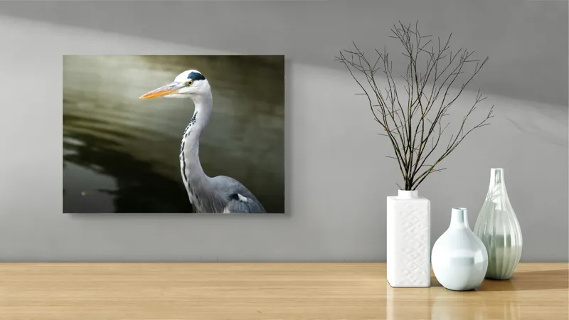 Tablou Canvas, "Egreta privind spre zare liniștită", Pasăre, Grațioasă, Plisc, Lung, Pene, Gri, Apă, Calmă, Elegantă., 54 x 39 cm – poza 3