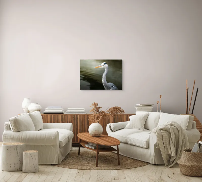 Tablou Canvas, "Egreta privind spre zare liniștită", Pasăre, Grațioasă, Plisc, Lung, Pene, Gri, Apă, Calmă, Elegantă., 70 x 50 cm – poza 6