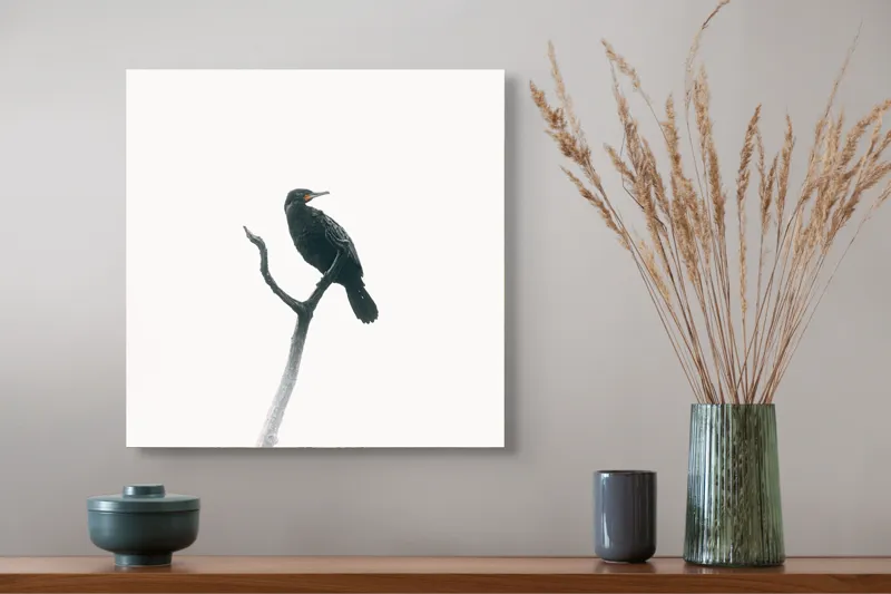 Tablou Canvas, "Pasăre singuratică pe creanga înaltă", Pasăre, Ramură, Cer, Siluetă, Minimalism, Natură, Liniște, Contrast, Puritate, Eleganță, 50 x 50 cm – poza 4