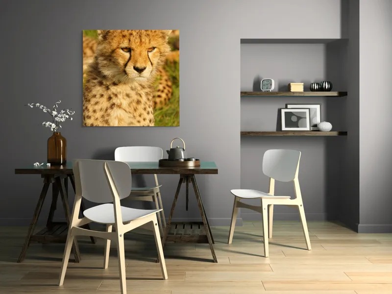 Tablou Canvas, "Pui de ghepard sub soarele amiezii", Nu știu cine este în imagine., 100 x 100 cm – poza 6