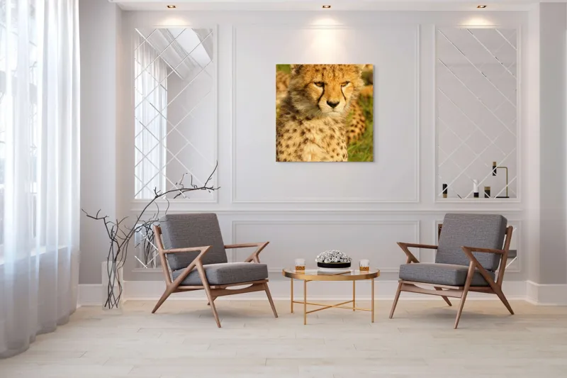 Tablou Canvas, "Pui de ghepard sub soarele amiezii", Nu știu cine este în imagine., 100 x 100 cm – poza 7