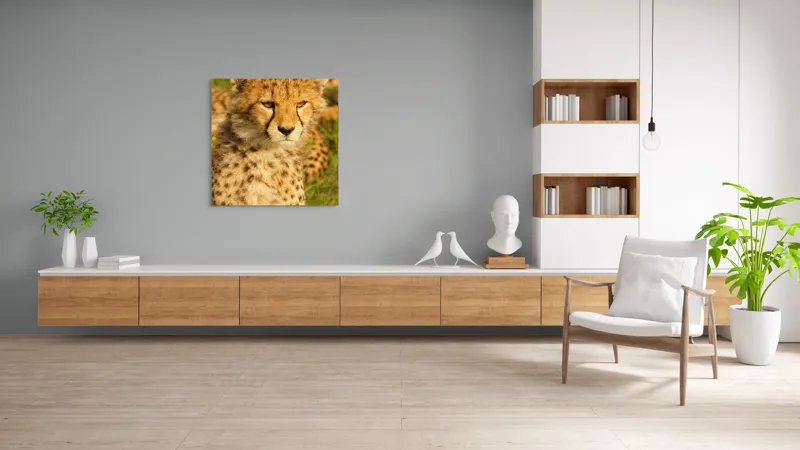 Tablou Canvas, "Pui de ghepard sub soarele amiezii", Nu știu cine este în imagine., 100 x 100 cm – poza 8