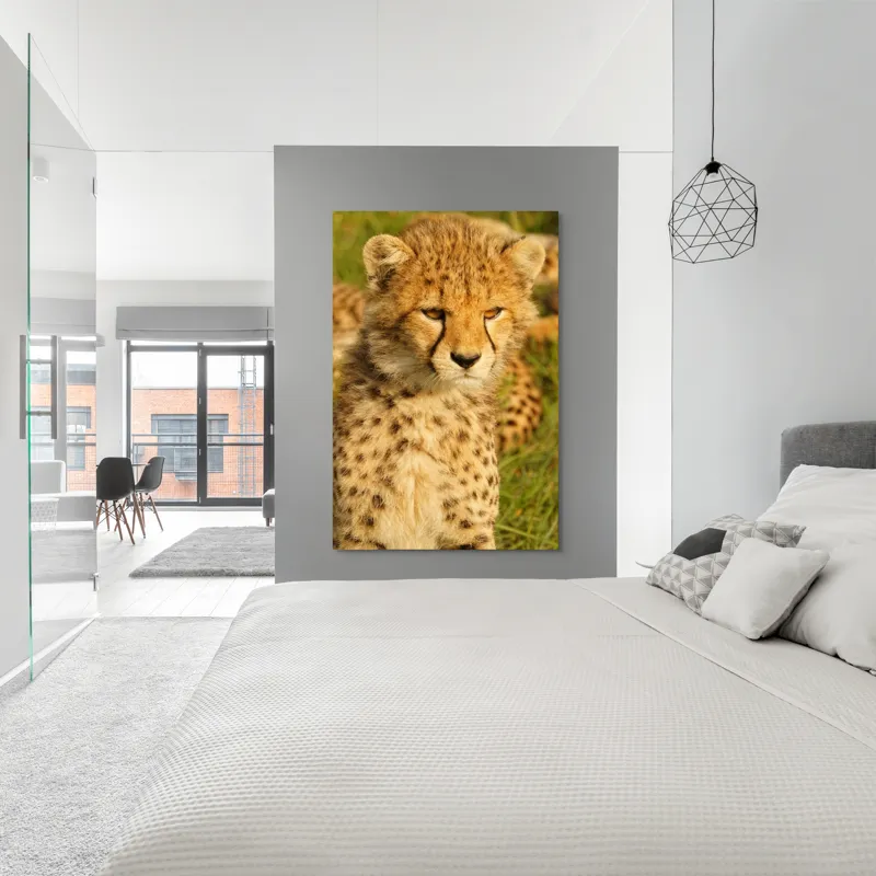 Tablou Canvas, "Pui de ghepard sub soarele amiezii", 100 x 150 cm – poza 5