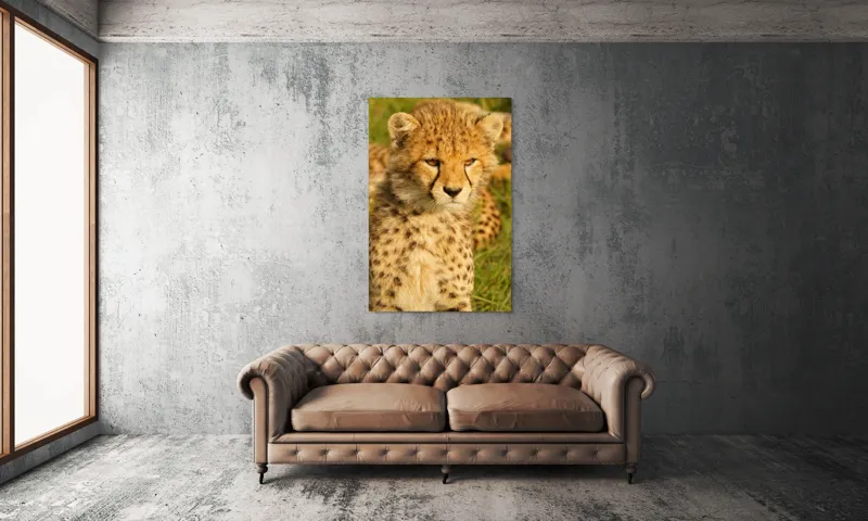 Tablou Canvas, "Pui de ghepard sub soarele amiezii", 100 x 150 cm – poza 6