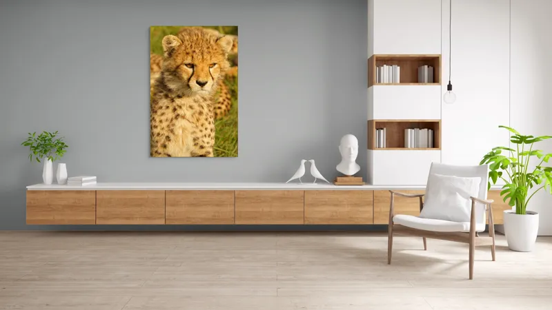 Tablou Canvas, "Pui de ghepard sub soarele amiezii", 100 x 150 cm – poza 8
