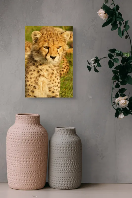 Tablou Canvas, "Pui de ghepard sub soarele amiezii", 26 x 39 cm – poza 6