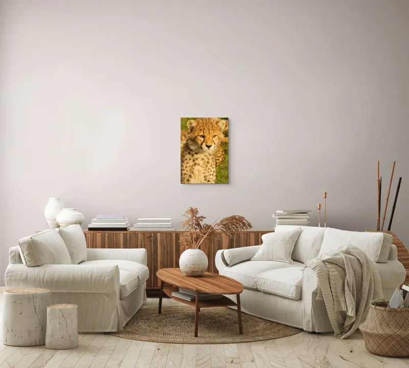 Tablou Canvas, "Pui de ghepard sub soarele amiezii", Nu știu cine este în imagine., 39 x 54 cm – poza 5