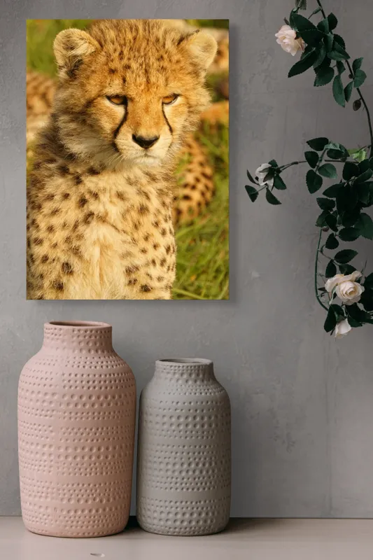 Tablou Canvas, "Pui de ghepard sub soarele amiezii", Nu știu cine este în imagine., 39 x 54 cm – poza 6