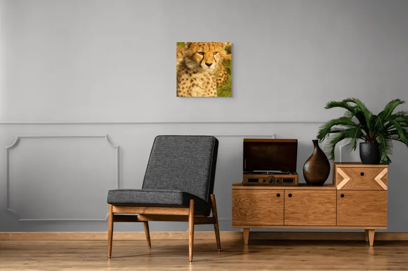 Tablou Canvas, "Pui de ghepard sub soarele amiezii", Nu știu cine este în imagine., 50 x 50 cm – poza 6