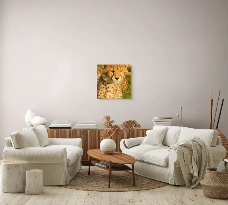 Tablou Canvas, "Pui de ghepard sub soarele amiezii", Nu știu cine este în imagine., 50 x 50 cm – poza 7