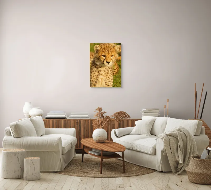 Tablou Canvas, "Pui de ghepard sub soarele amiezii", Nu știu cine este în imagine., 50 x 70 cm – poza 4