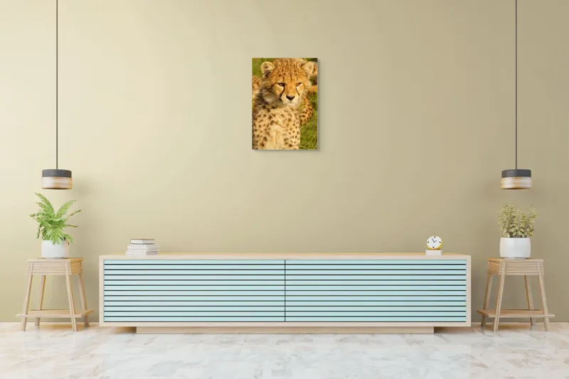 Tablou Canvas, "Pui de ghepard sub soarele amiezii", Nu știu cine este în imagine., 50 x 70 cm – poza 6