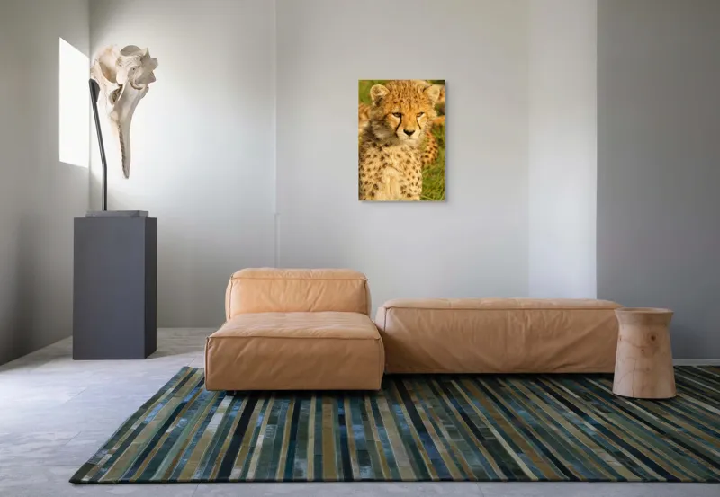 Tablou Canvas, "Pui de ghepard sub soarele amiezii", Nu știu cine este în imagine., 50 x 70 cm – poza 7