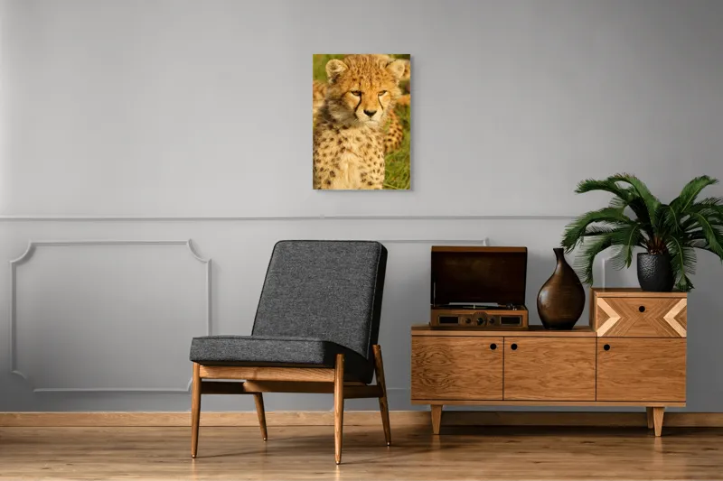 Tablou Canvas, "Pui de ghepard sub soarele amiezii", Nu știu cine este în imagine., 50 x 70 cm – poza 8