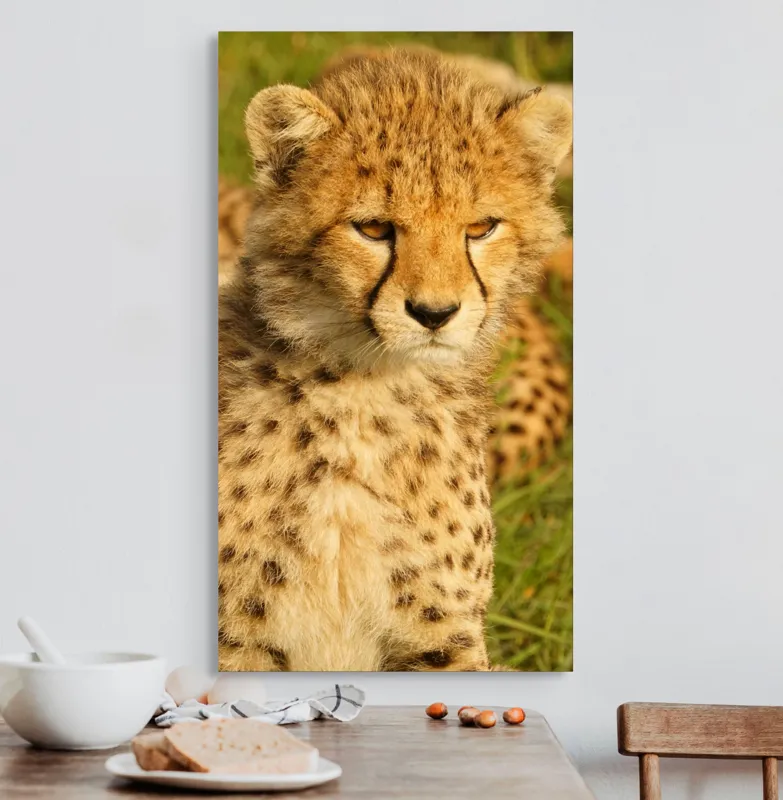 Tablou Canvas, "Pui de ghepard sub soarele amiezii", Nu știu cine este în imagine., 50 x 90 cm – poza 3