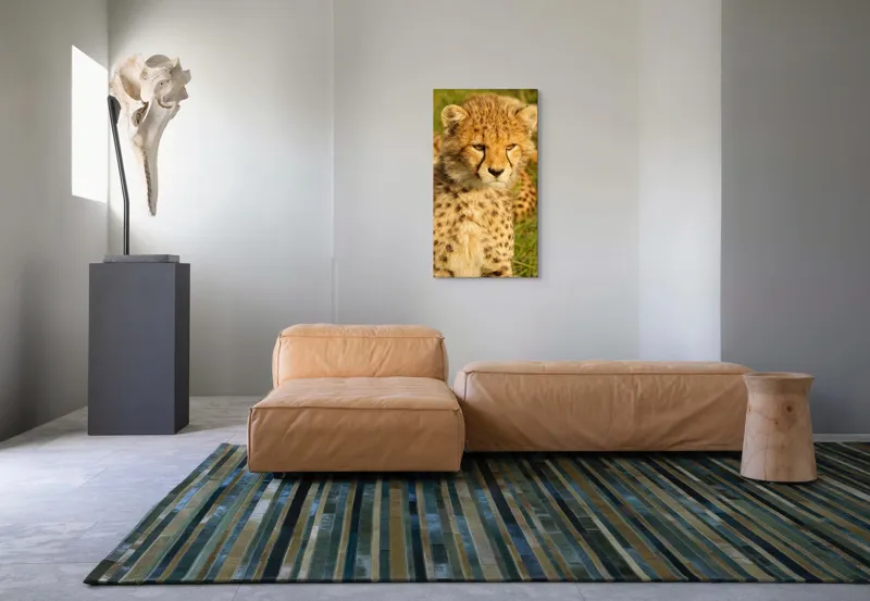 Tablou Canvas, "Pui de ghepard sub soarele amiezii", Nu știu cine este în imagine., 50 x 90 cm – poza 5