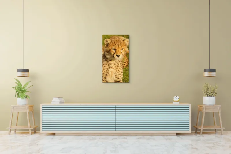 Tablou Canvas, "Pui de ghepard sub soarele amiezii", Nu știu cine este în imagine., 50 x 90 cm – poza 6