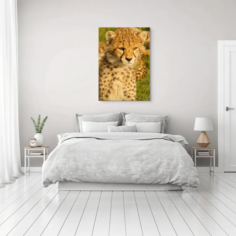 Tablou Canvas, "Pui de ghepard sub soarele amiezii", 70 x 100 cm – poza 3