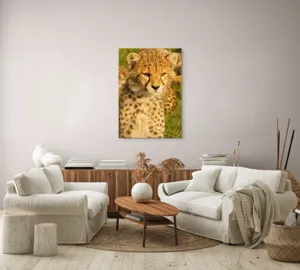 Tablou Canvas, "Pui de ghepard sub soarele amiezii", 70 x 100 cm – poza 4