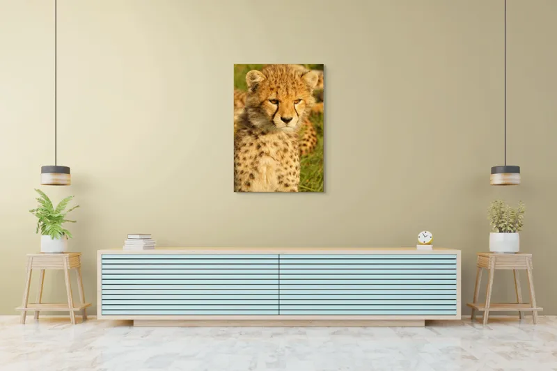 Tablou Canvas, "Pui de ghepard sub soarele amiezii", 70 x 100 cm – poza 5