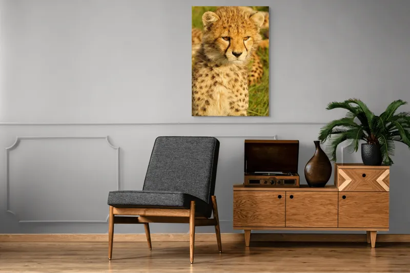 Tablou Canvas, "Pui de ghepard sub soarele amiezii", 70 x 100 cm – poza 6