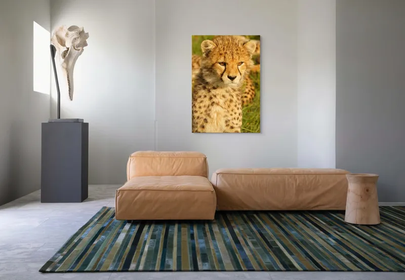 Tablou Canvas, "Pui de ghepard sub soarele amiezii", 70 x 100 cm – poza 7