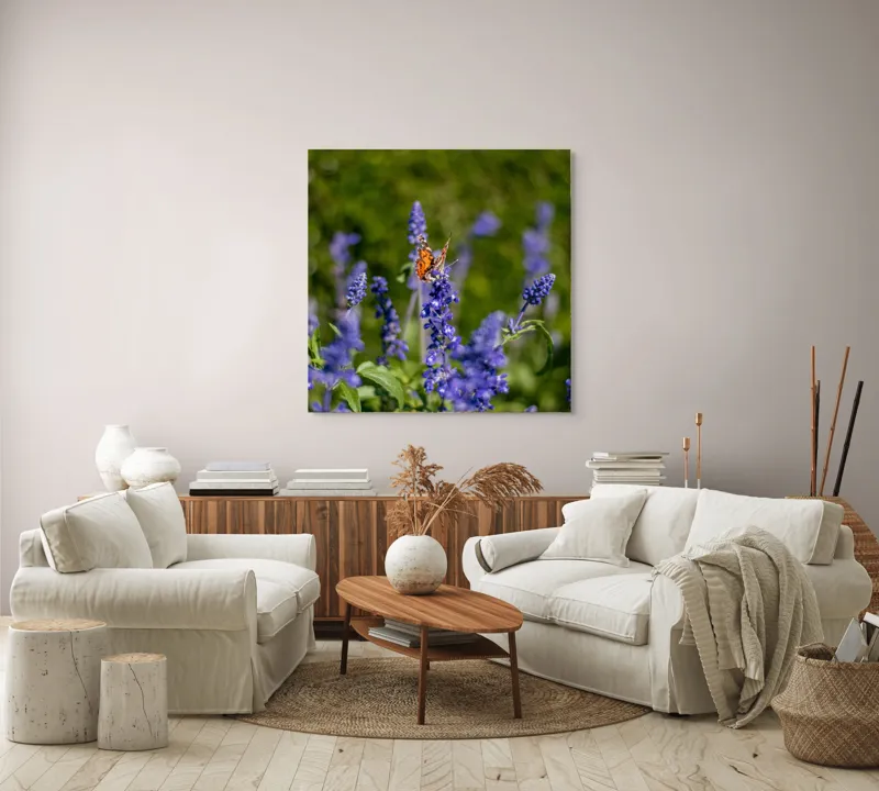 Tablou Canvas, "Fluture pe flori de lavandă", Fluturi, Lavandă, Verdeață, Primăvară, Natură., 100 x 100 cm – poza 3