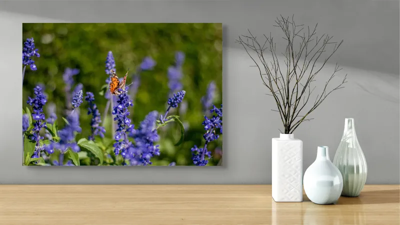 Tablou Canvas, "Fluture pe flori de lavandă", Fluturi, Lavandă, Verdeață, Primăvară, Natură., 70 x 50 cm – poza 3