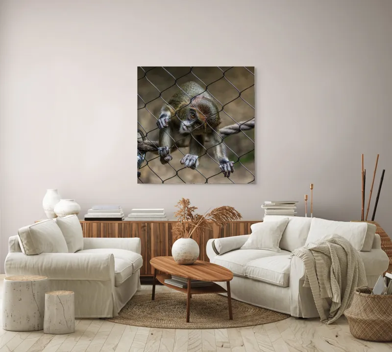Tablou Canvas, "Maimuța curioasă prin gardul de sârmă", Maimuță, Gard, Frânghie, Ochi, Blană, Degete, Curiozitate, 100 x 100 cm – poza 3