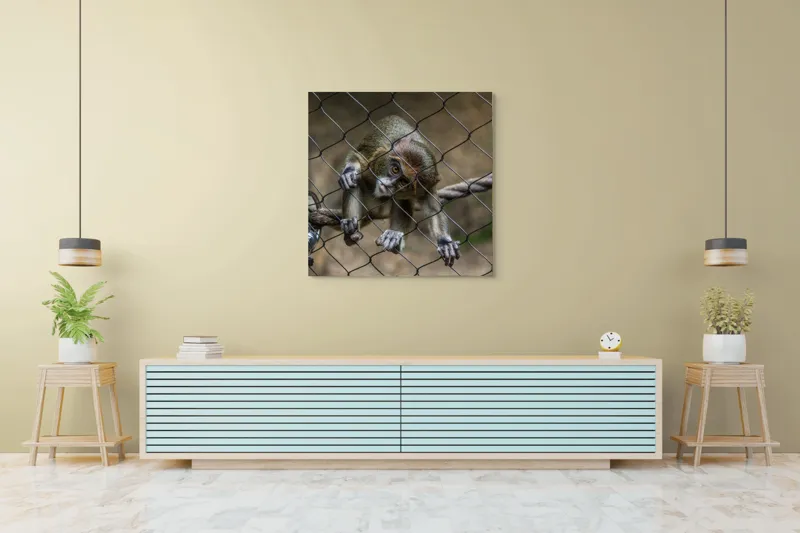 Tablou Canvas, "Maimuța curioasă prin gardul de sârmă", Maimuță, Gard, Frânghie, Ochi, Blană, Degete, Curiozitate, 100 x 100 cm – poza 5