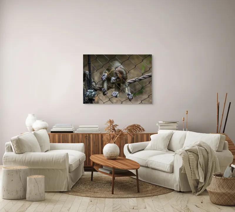 Tablou Canvas, "Maimuța curioasă prin gardul de sârmă", Maimuță, Gard, Frânghie, Ochi, Blană, Degete, Curiozitate, 100 x 70 cm – poza 3