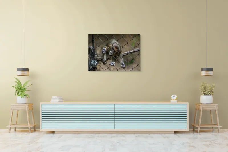 Tablou Canvas, "Maimuța curioasă prin gardul de sârmă", Maimuță, Gard, Frânghie, Ochi, Blană, Degete, Curiozitate, 100 x 70 cm – poza 4