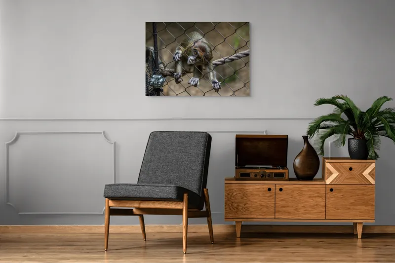 Tablou Canvas, "Maimuța curioasă prin gardul de sârmă", Maimuță, Gard, Frânghie, Ochi, Blană, Degete, Curiozitate, 100 x 70 cm – poza 8