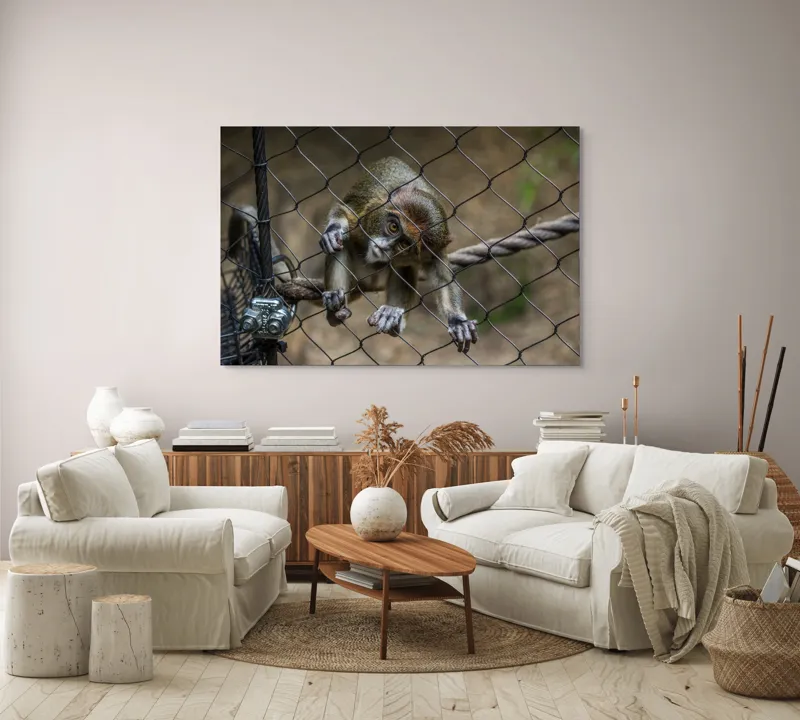 Tablou Canvas, "Maimuța curioasă prin gardul de sârmă", Maimuță, Gard, Frânghie, Ochi, Blană, Degete, Curiozitate, 150 x 100 cm – poza 3